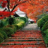 Staircase Kyoto, Japan !!!