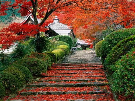 Staircase Kyoto, Japan !!! - red, garden, staire, tree, nature, other, green