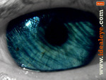 eye