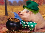 funny wallpapers rich pig