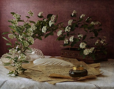 still life - pretty, pen, spring, photo, gentle, flowers, music, old, musical notes, box, nice, branch, beautiful, photography, lace, lovely, cool, still life, flower, bouquet, harmony