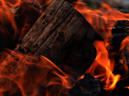 Camp Fire up Close - warm, logs, fire, hot, red, wood, orang