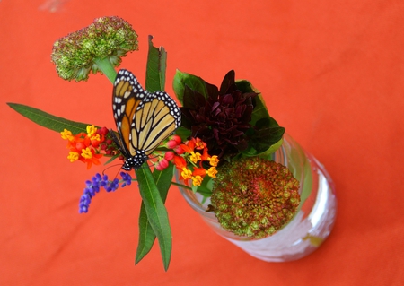 Summer still life - summer, butterfly, flowers, vase, still life