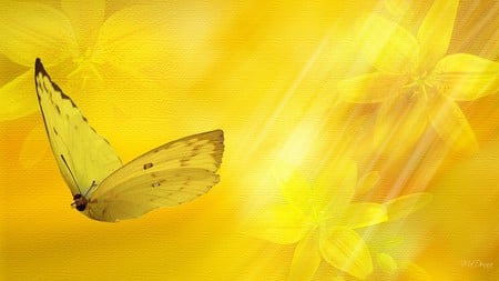 Butter Yellow Floral - flowers, yellow, summer, bright, butterfly, spring, firefox persona