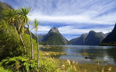 Palm beside the lake - sky, lake, palm, mountain