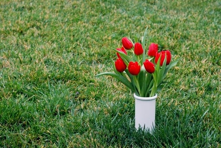 tulips - tulips, vase, backyard, still life, grass