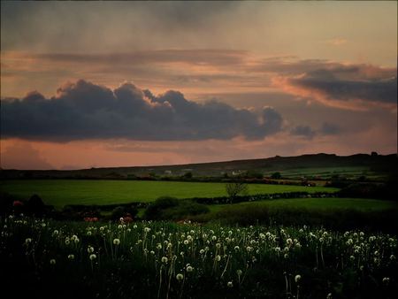 Sunset - cloud, field, sky, sunset