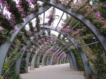 flower tunnel