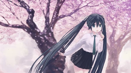 Hatsune Miku - beauty, hot, anime girl, singer, pretty, idol, sakura petals, miku, cute, cherry blossoms, hatsune miku, sexy, twintails, stunning, vocaloids, hatsune, vocaloid, beautiful, tie