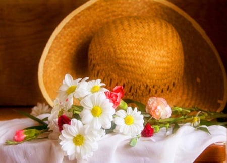 Daisies - flowers, daisies, nature, hat