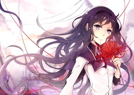 Akemi Homura - flower, rose, pretty, cute, beauty, beautiful, hot, anime girl, long hair, sexy, stunning, mahou shoujo madoka magica