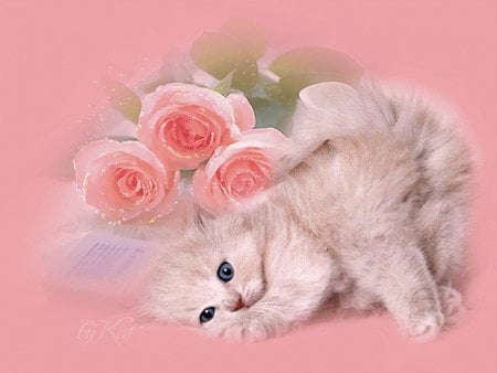 For Cinzia (nini55rose) - kitten, feline, rose, flower, pink, sweet, cat