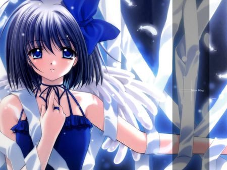 Aoi Nishimata - Snow Wing - aoi nishimata, blue eyes, anime angel, scattered feathers, blue hair, blue dress, cute anime girl, white ribbons, blue bow