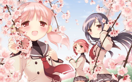 Cuffs Sphere Cube School - anime girls, sky, cuffs sphere cube school, school, cube, cg, school uniform, cherry blossom, cute, three girls, happy