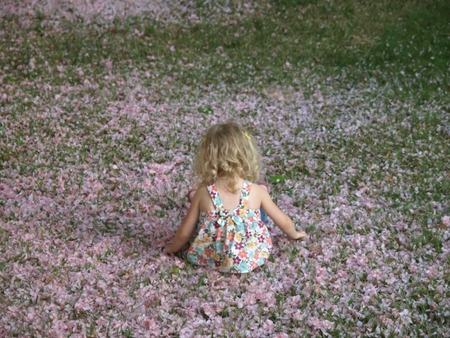 One with the cherry blossoms - garden, blossoms, cherry, girl