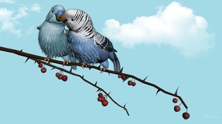 Loves Birds - clouds, parrots, birds, limb, love, firefox persona, tree, berries, kiss, sky