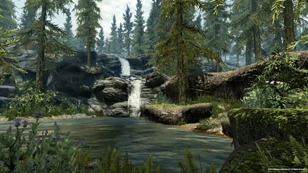 The elder Scrolls V : Skyrim - v, scrolls, skyrim, elder