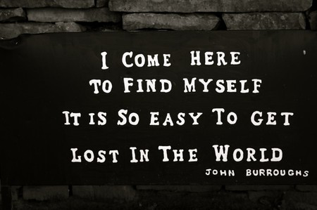 I know I say I'm here, but I'm there too. - fun, people, other, journey