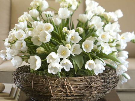 White flowers - white, nature, basket, flowers