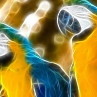 Digital Art Parrots