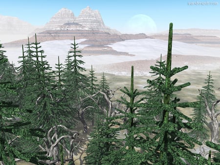 moon over the mountain - scenic, pinetrees, forground, beautiful