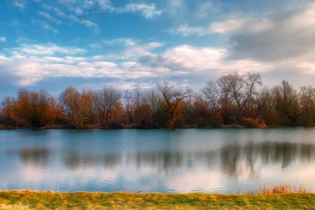 Fairy tale morning - sky, trees, perfect view, clouds, reflected, over, water, plants