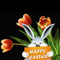 Easter sweet bunny with tulips