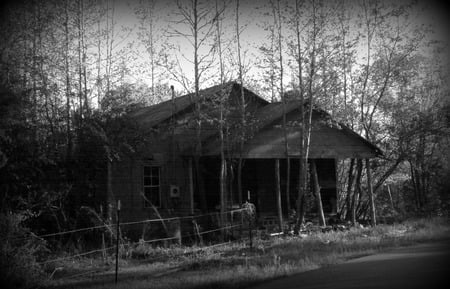 The Cabin - architecture, house, trees, old