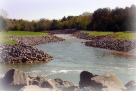 Creek - nature, water, stones, alabama