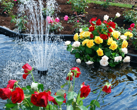 man made fountain - lotte, fountain, man, made