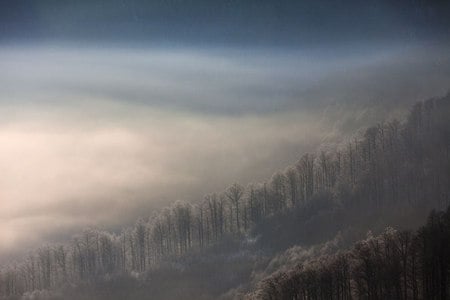 Forest Mist - clif, forest, photo, sky, clouds, photography, fog, trees, mist, nature, mountain, bulgaria