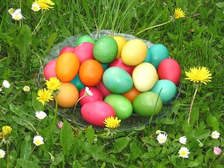 Colourful Eggs - pretty, flowers, photo, eggs, grass, easter, tradition, photography, colours, food, nature, colors, bulgaria, green