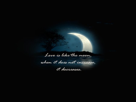 LOVE & MOON - moon, water, poem, night, love, tree