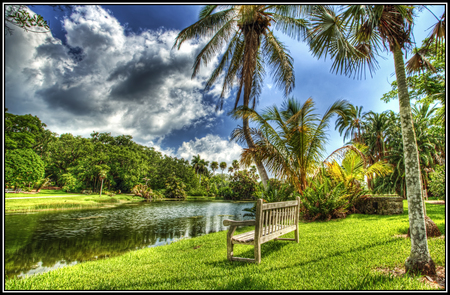 Beautiful view - pretty, calm, benches, grass, copaci, walk, view, garden, hdr, nice, sky, clouds, palms, water, relaxing, beautiful, photography, lovely, cool, rest, harmony, river, nature, banca, green, apa, peaceful, park