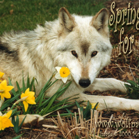 Spring Is Finally Here