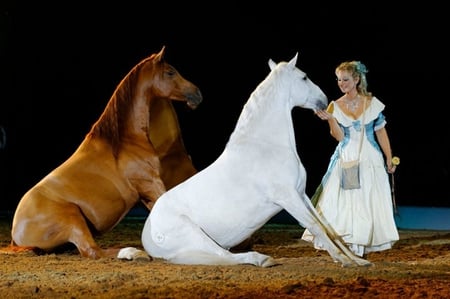 Good Boys - horses, white, appassionata, spectacle, andalusian, arabian, chestnut