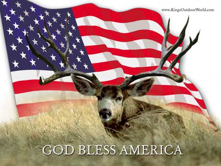 This Land Is Our Land - nature, deer, bucks, america, grass, white tail deer, flag, animals