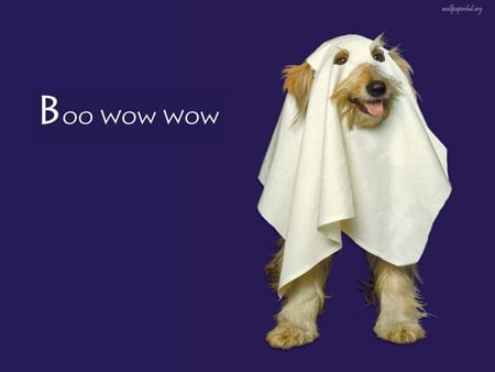 Funny Doggy - halloween, comedy, dogs, funny animals, cute dogs, dogs barking, puppies