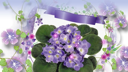 Spring Violets - purple, abstract, summer, ribbon, violets, flowers, spring