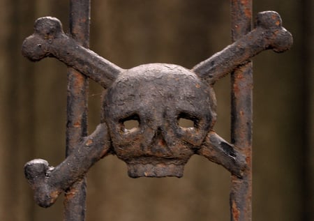 No Entry - metal, cross-bones, bars, photography, bones, artwork, abstract, skull