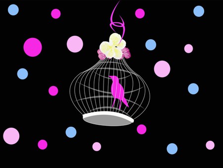 BIRD CAGE - dots, birdcage, poke, pink