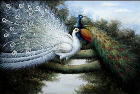 CANVAS OIL PAINTING - paintings, painting, two, peacocks, canvas, oil