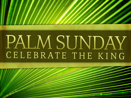 Palm Sunday - celebrate, christian, sunday, palm