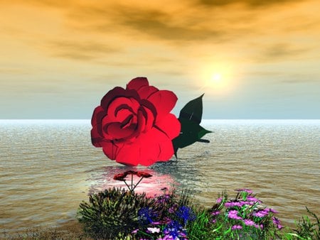 red rose - rose, fantasy, flower, red