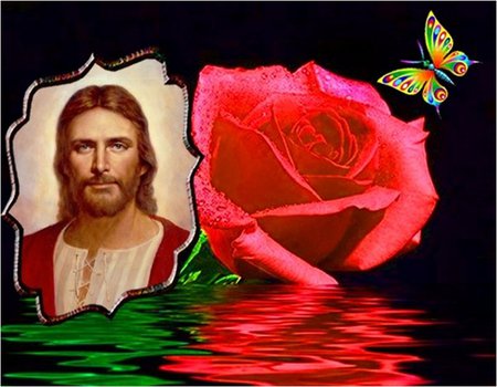 The face of love - salvation, religion, god, christianity, rose, christ, jesus, butterfly, flower