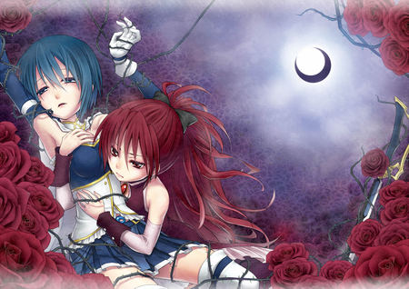 Rose Garden - moon, sakura kyouko, beauty, mahou shoujo madoka magica, anime girls, sexy, hot, roses, miki sayaka, beauties, beautiful, cute