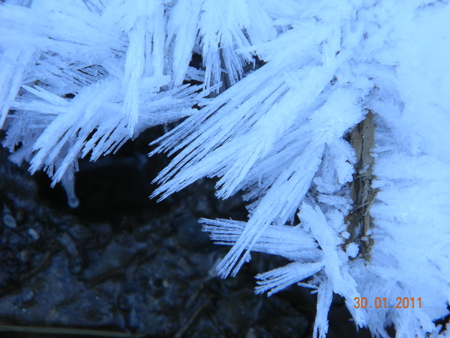 ice flower - winter, ice, water, flower