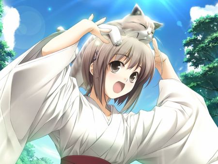 Anime - girl, cat, beautiful, anime, cute