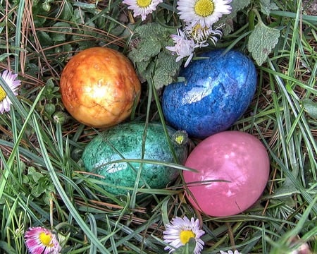 Happy Easter - eggs, colours, holiday, easter, nestle, happy