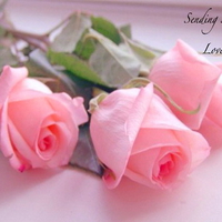 For our Miss Kate